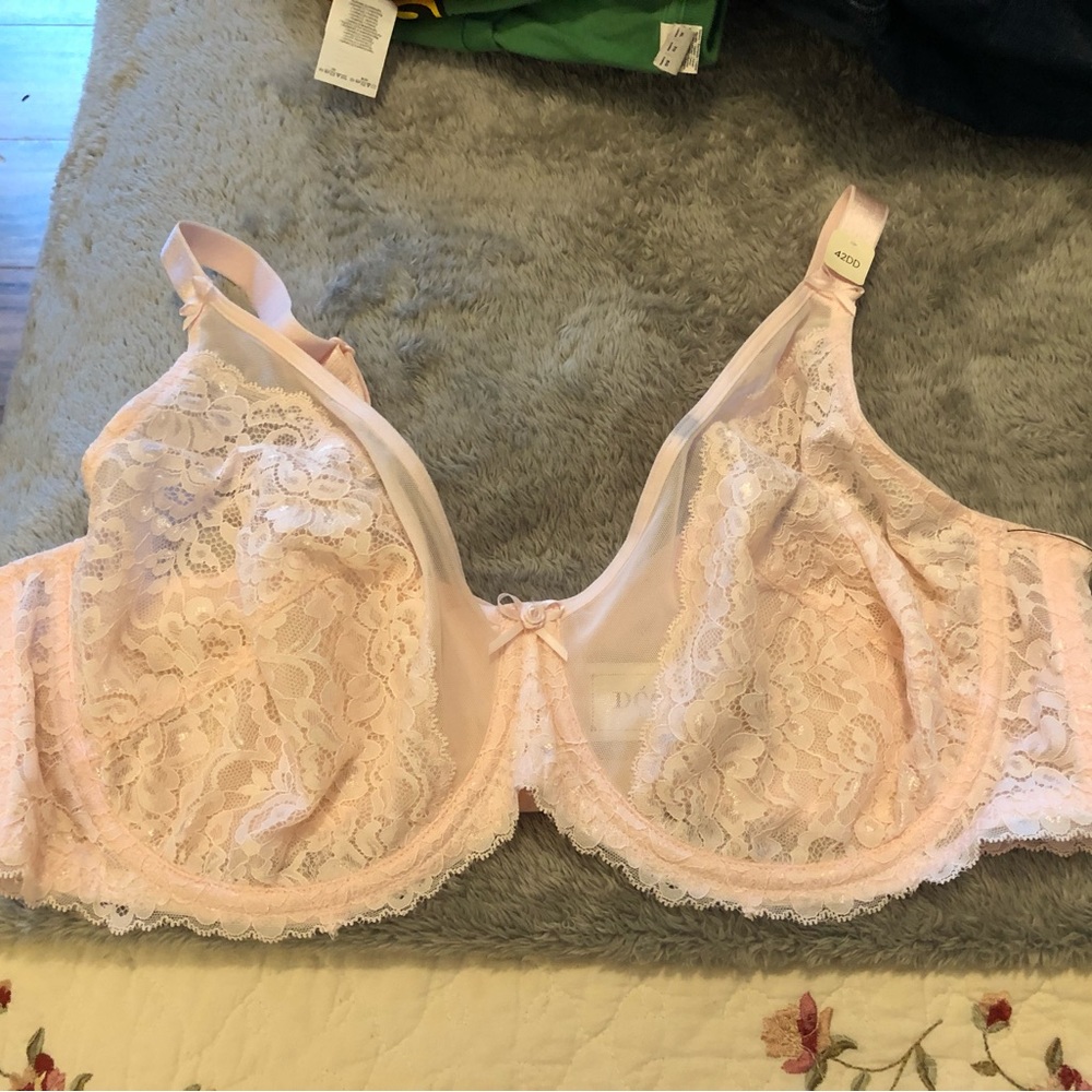 NWT Deesse 42DD Pale Pink Lace Underwire Bra